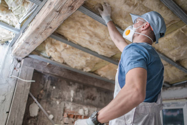 Best Blown-in Insulation in Malibu, CA